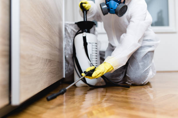 Best Ant Control Services  in Waterbury, CT