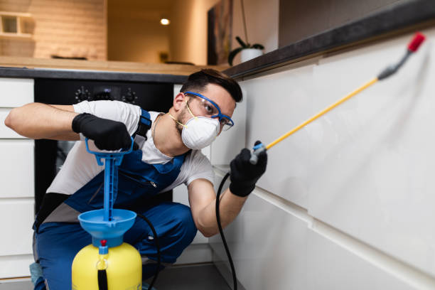 Best Termite Control Services  in Waterbury, CT