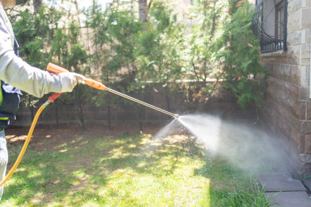 Best Local Pest Control Services  in Waterbury, CT