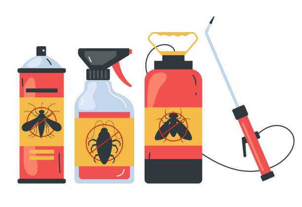 Best Spider Control Near Me  in Waterbury, CT