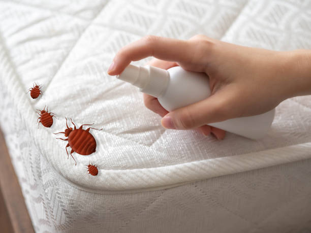 Best Emergency Pest Control  in Waterbury, CT