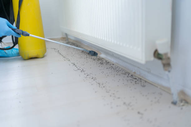 Trusted Waterbury, CT Pest Control Experts