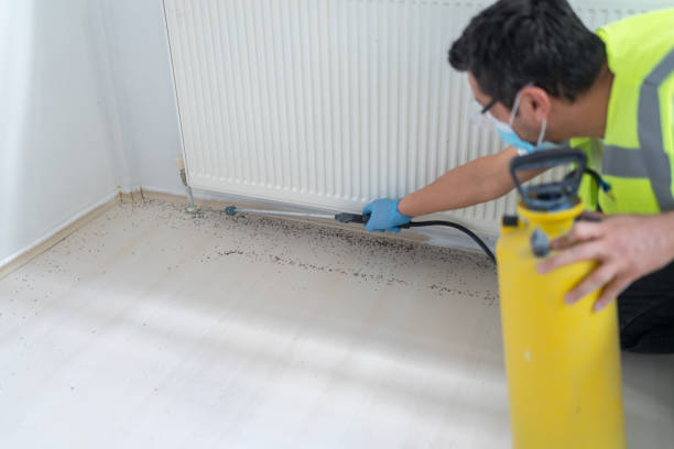 Best Cockroach Control Services  in Waterbury, CT